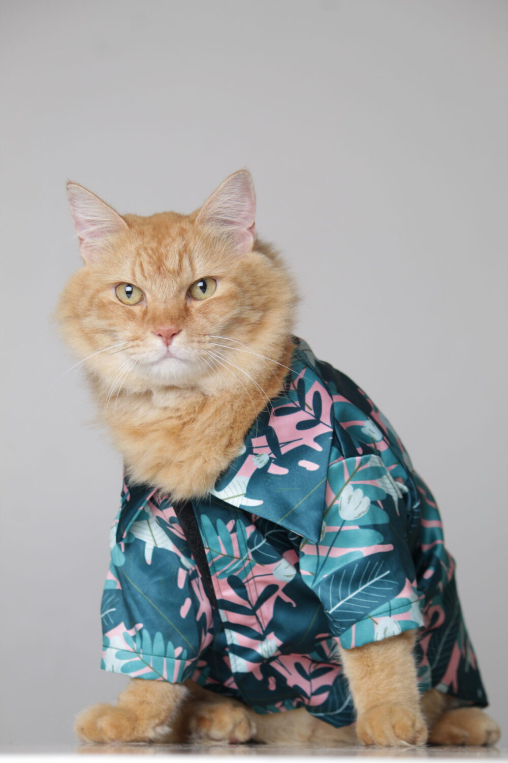 Shop Primary Image Shop Primary Image