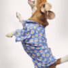 Blue Meadow Pupwear