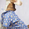 Blue Meadow Pupwear - Image 4