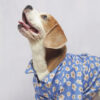 Blue Meadow Pupwear - Image 3