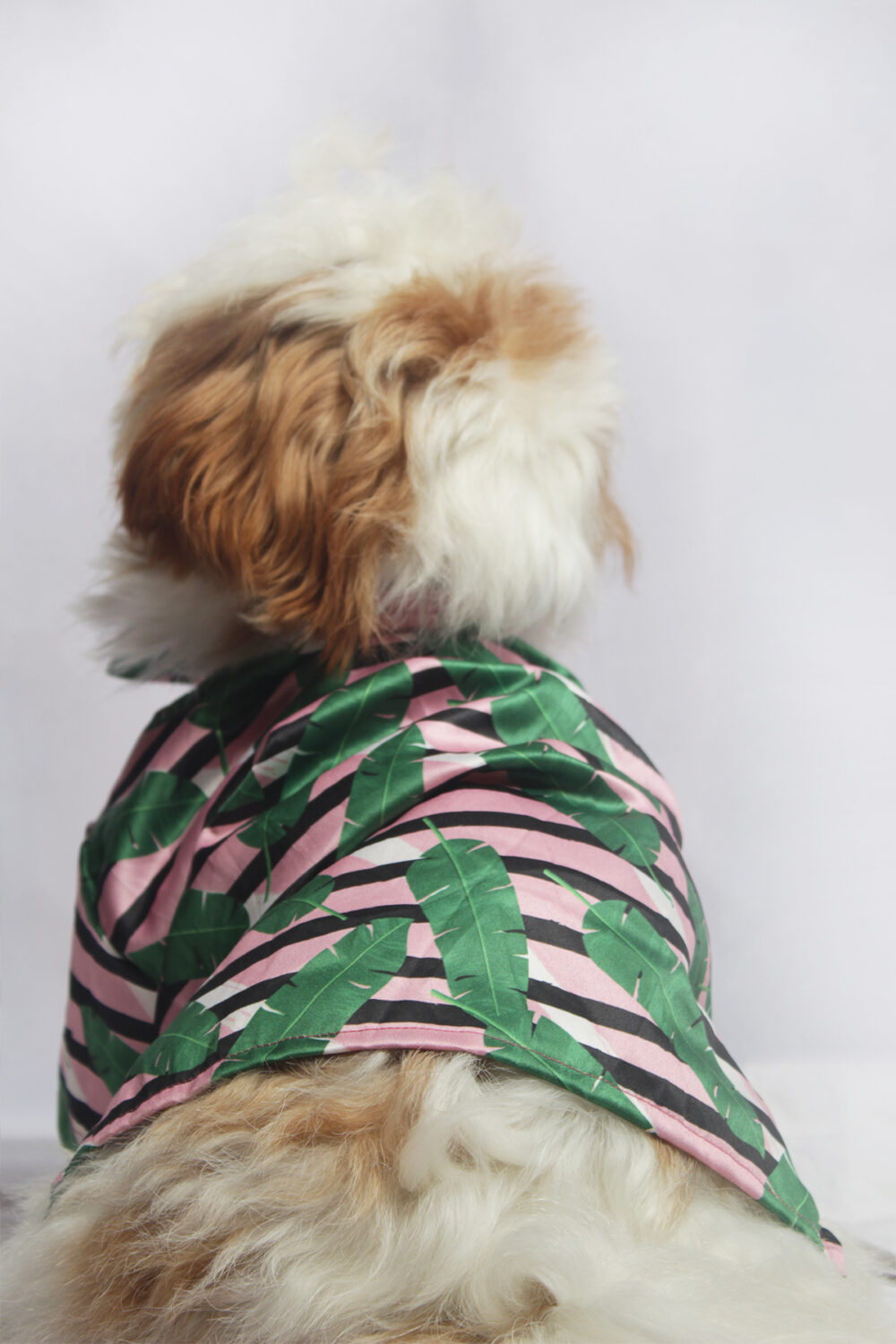 Shop Secondary Image