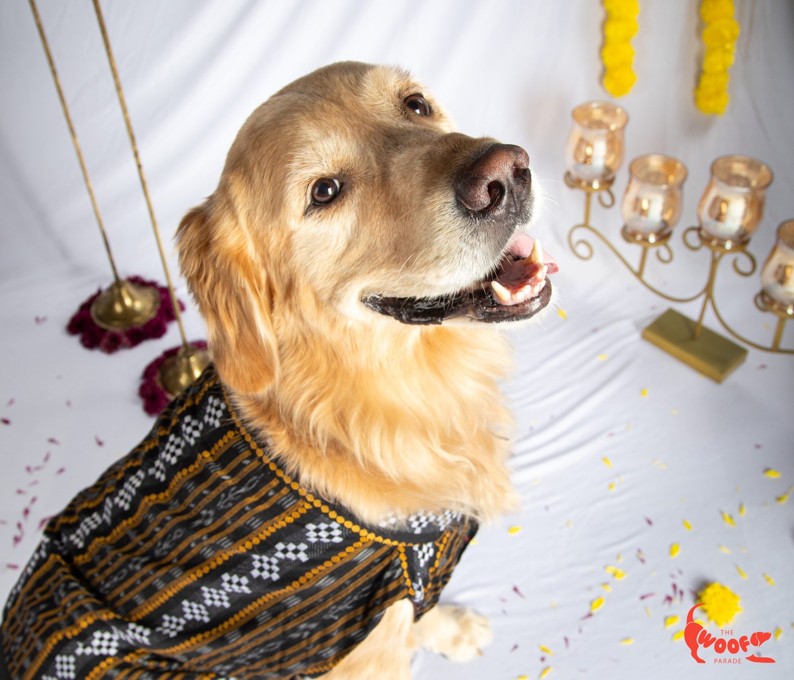 Black Assamese Classic - Image 13