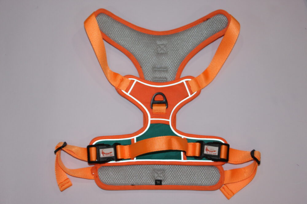 Shop Secondary Image