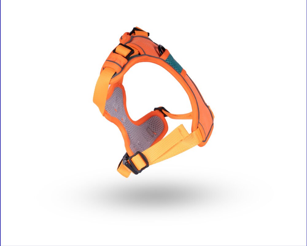 Shop Secondary Image Shop Secondary Image