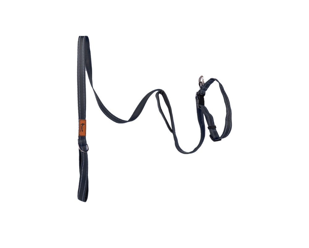 Shop Primary Image Shop Primary Image